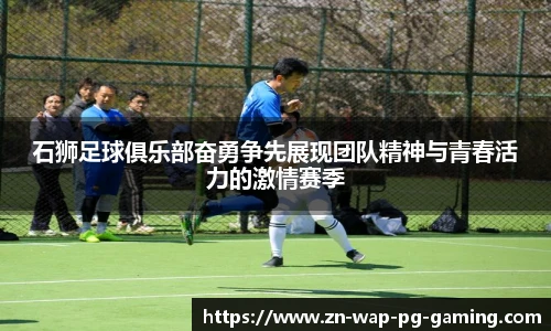 pg模拟器